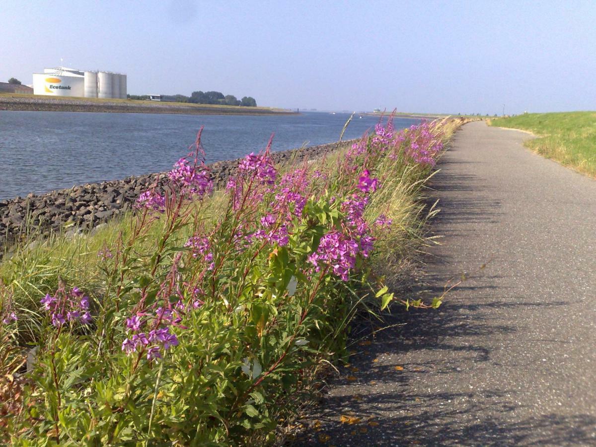 Middensluis 7 Villa Wemeldinge Bagian luar foto